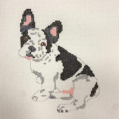 French Bull Dog Needlepoint Canvas