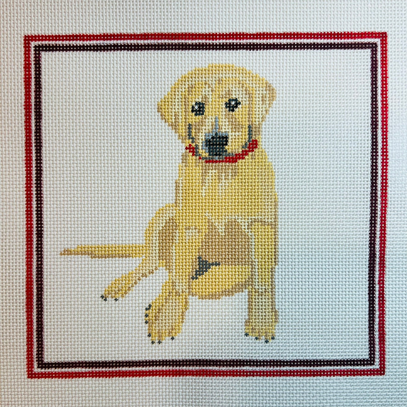 Yellow Lab with Red Frame