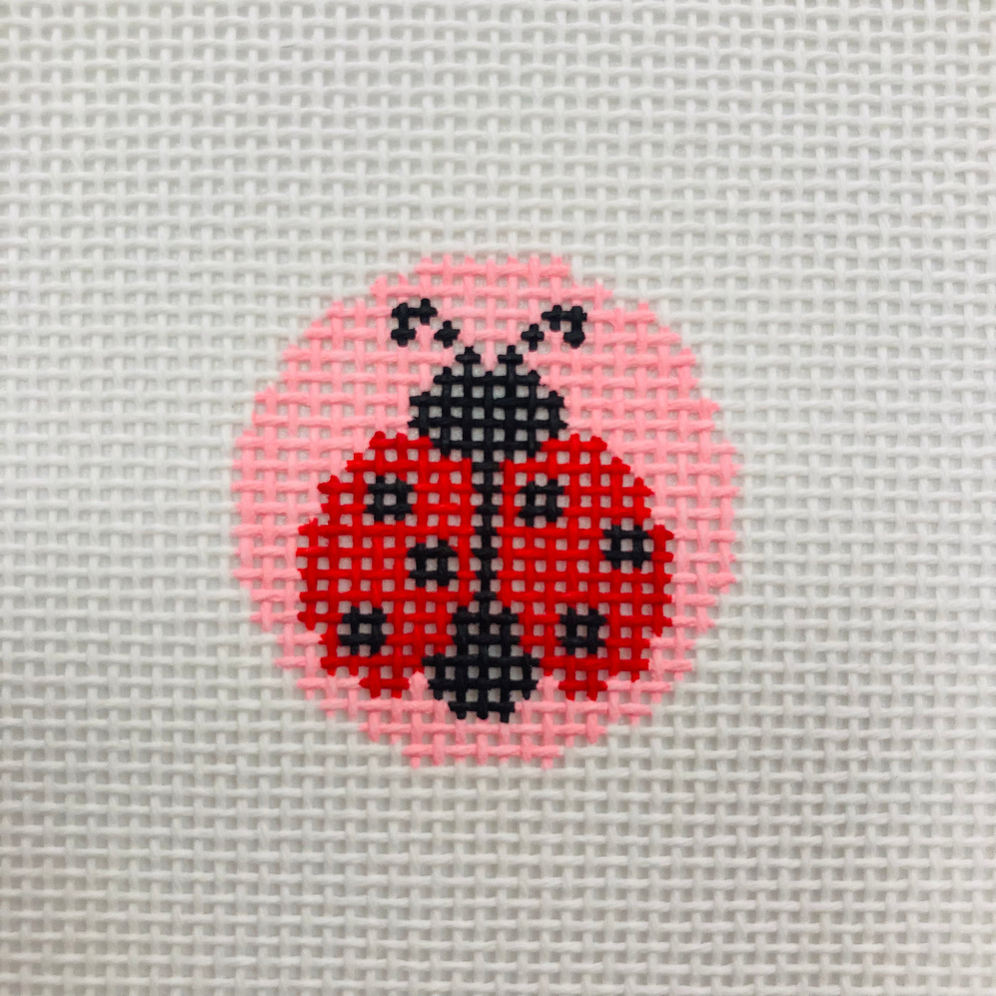 Lady Bug Mini Clip