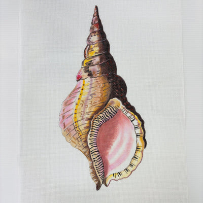 3D Conch Seashell Front needlepoint canvas - Bargello Needlepoint