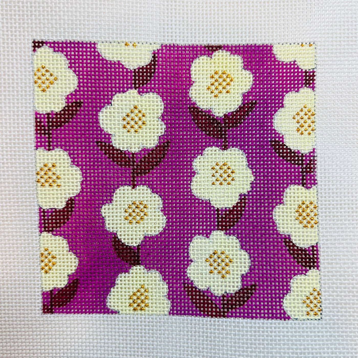 Pink Buttercup Coaster