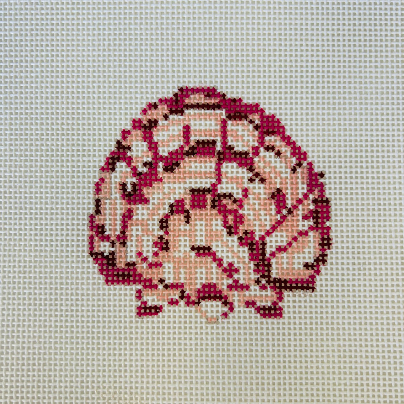 Pink Scallop Shell