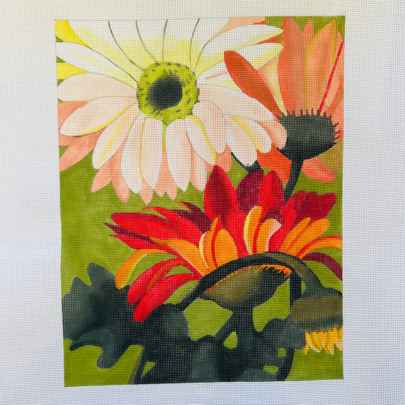 CORAL DAISIES Needlepoint Canvas