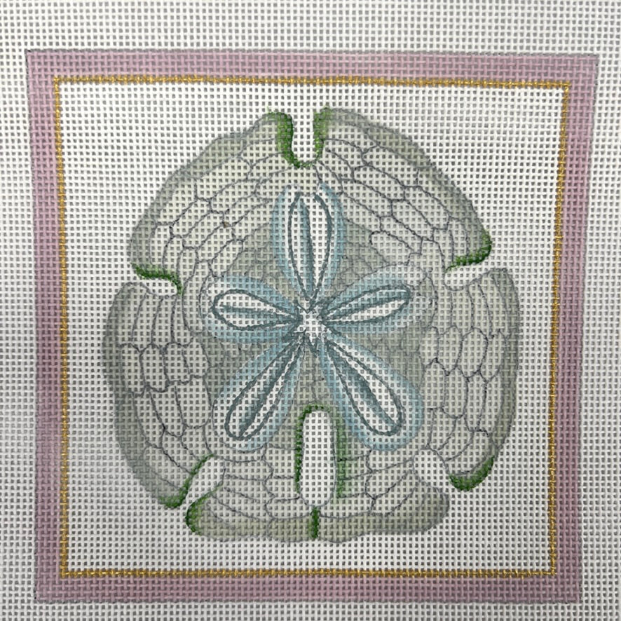 Sand Dollar